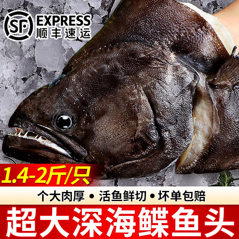 深海碟鱼头冷冻格陵兰鲽鱼头超大鸦片鱼头新鲜比目鱼鸦片鱼头商用