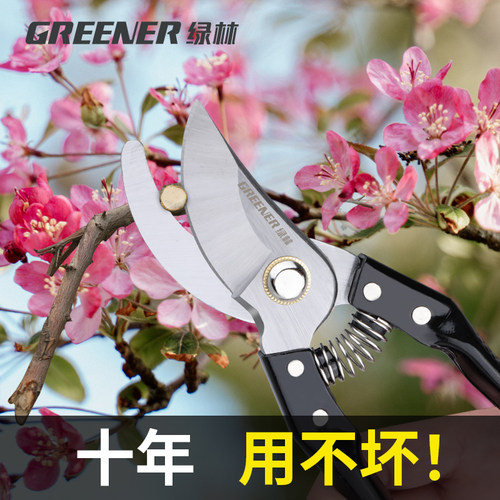 绿林修枝剪果树剪园艺剪树枝专用剪刀花剪园林花卉花艺剪子