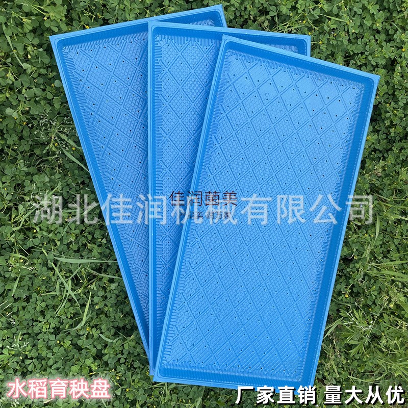 新款水稻育秧盘机n插秧盘育苗盘平底盘9寸7寸加厚秧盘软盘