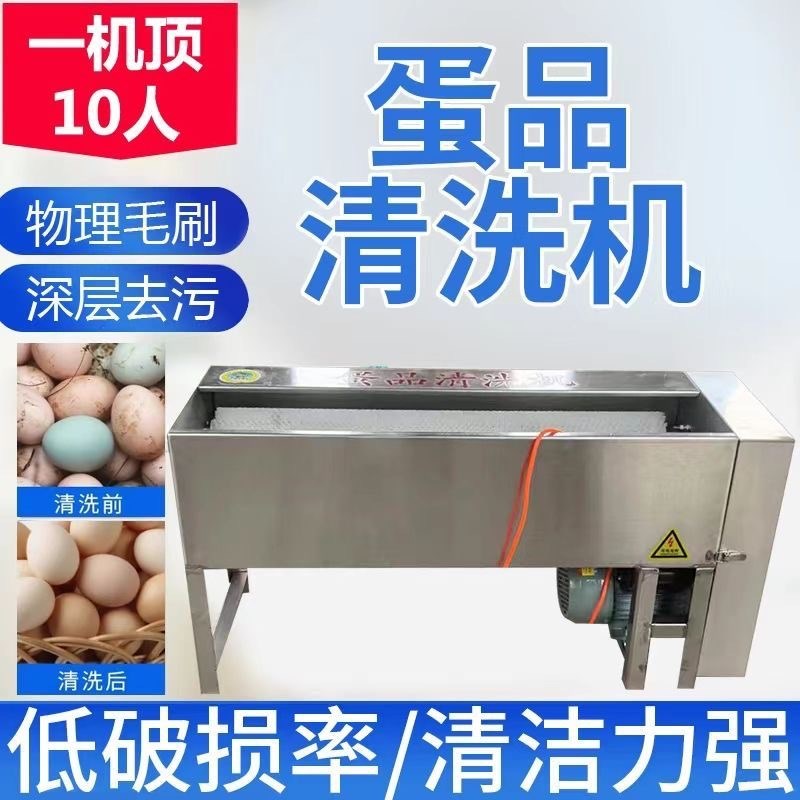 全自动商用蛋品清洗机小型毛刷双排两用水循O环咸鸭蛋黄泥蛋洗蛋