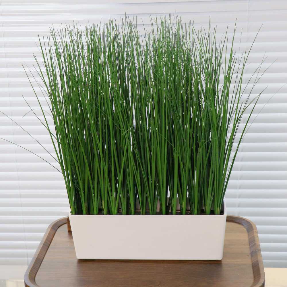 仿真绿植造景洋葱草盆栽仿真芦苇假草工艺品