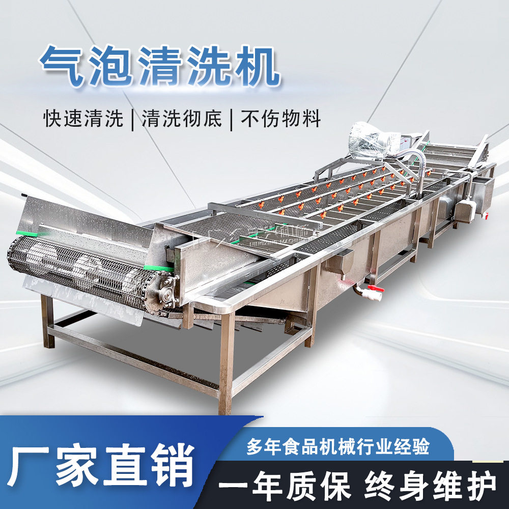 宁兴草莓气泡果蔬清洗机去农残