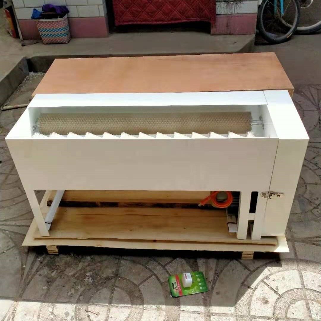 全自动商用双排两用蛋品清洗机