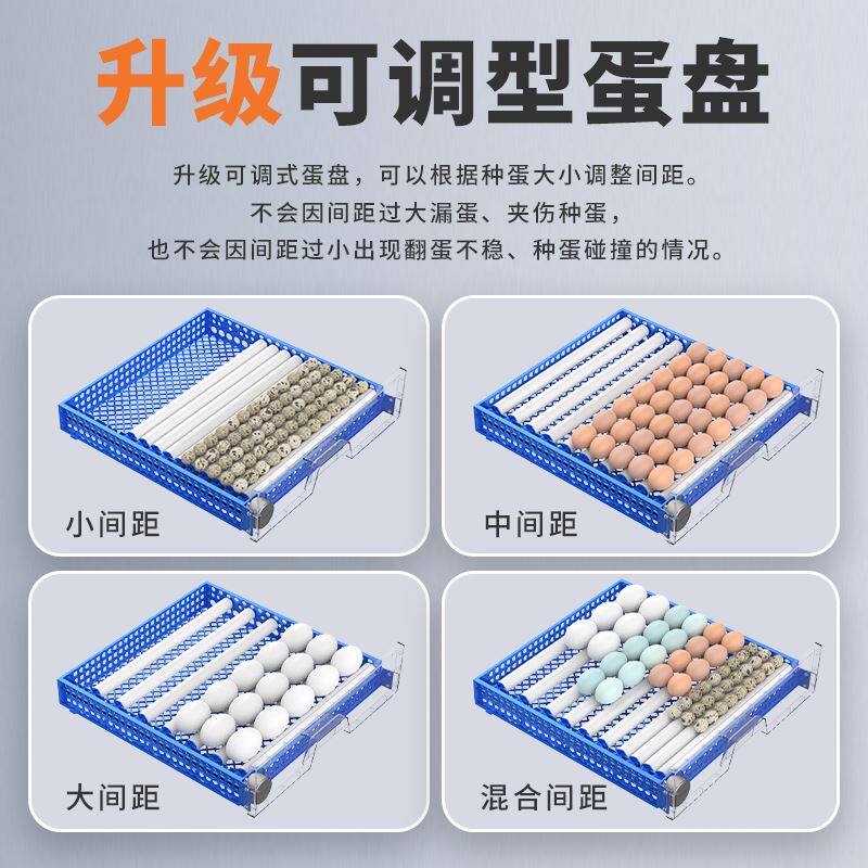 孵化器小型家用迷你孵化机全自动智能孵蛋器小鸟鸡鸭鹅蛋可孵化箱