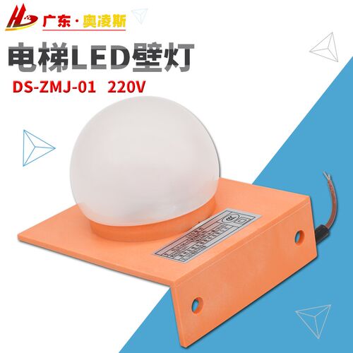 【全国包邮】 通用型LED电梯井道灯DS-ZMJ-01 02照明应急灯220V