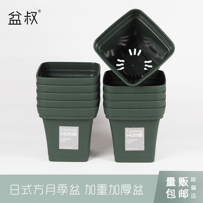 【量贩】日式月季盆加重加厚玫瑰月季蔷薇铁线莲藤本植物球根盆