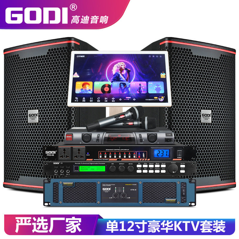 GODI 单12寸专业KTV音响套装家庭卡拉OK全套会议演出舞台酒吧音箱