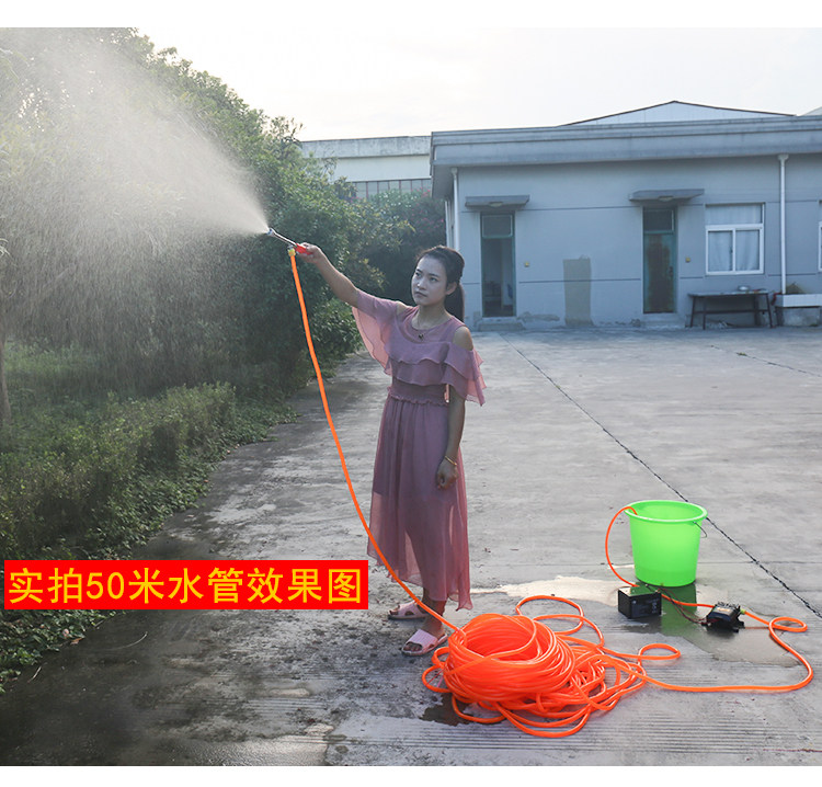 12伏电动农用喷雾器打药机洗车抽水机苗圃果树12V手提式喷药机器
