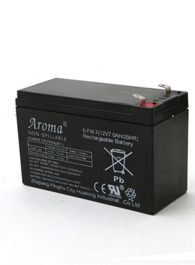 上海耀华XK3190-A9仪表地磅显示器6V10AH蓄电池12V7AH电瓶送线