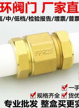 ppr立式止回阀20卧式25活接32铜单向阀40水表50管道63水阀门黄铜