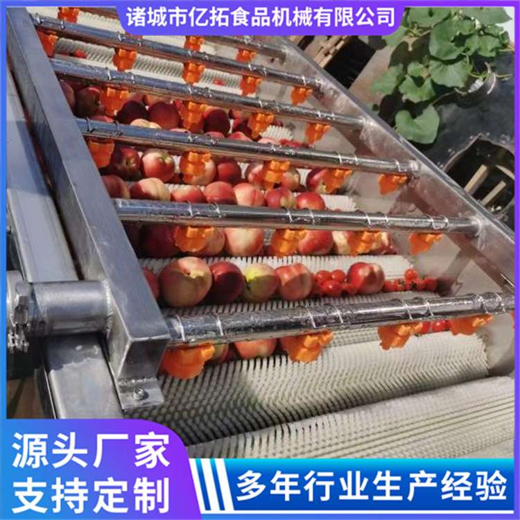 洗菜机大型商用全自动果蔬气泡清洗机草莓豆角消毒机去农残