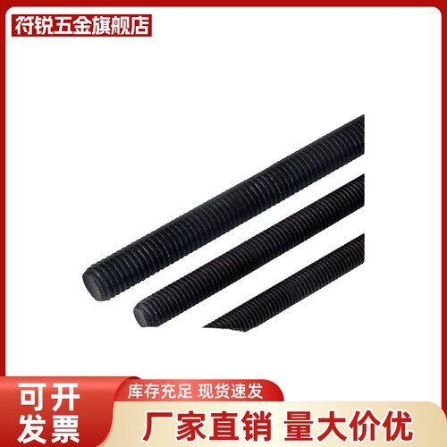 TBJ01 TBJ11-M6 M8 M10 M12 M16-L100 L200 L300 L500 牙条