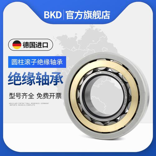德国BKD进口NU226EM圆柱滚子轴承228陶瓷绝缘2000V轴承3000V铜保