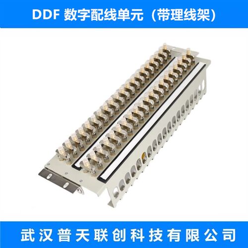 DDF  数字配线架  带槽  理线架  16系统L  数字配线单元  电信级