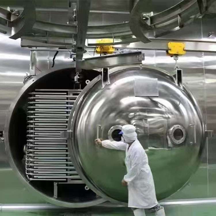 小平方宠物食品低温冷冻脱水机 黄桃蓝莓真空冻干机 鱼籽冷冻干燥