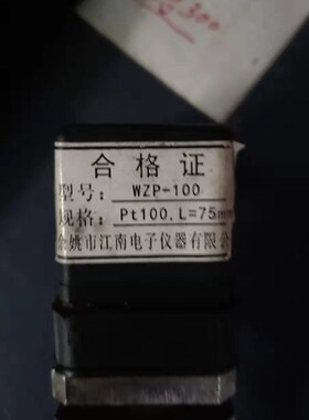 WZP-100 PT100热电阻船用 温度探头 油温探针 余姚江南电子