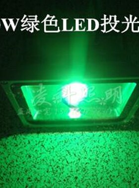 12V20WLED绿色投光灯24V20W绿光LED投光灯220V20Wled投光灯投射灯
