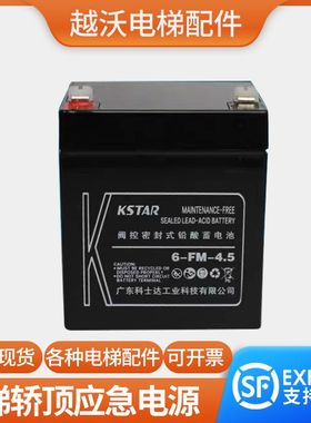 适用永大电梯轿顶应急电源DJW12-4.5/7.0理士蓄电池12V