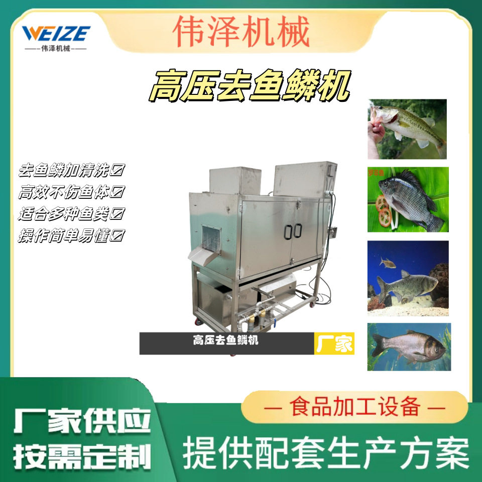 高压水自动去鱼鳞机器 连续式草鱼花鲢刮鱼鳞机商用