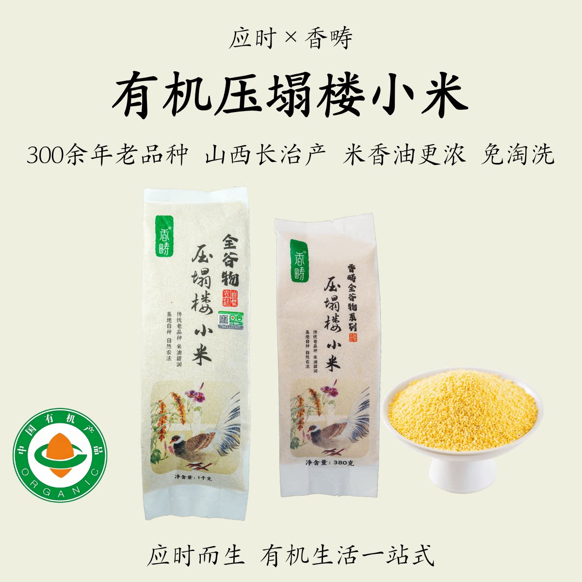 香畴【有机压塌楼小米】老品种