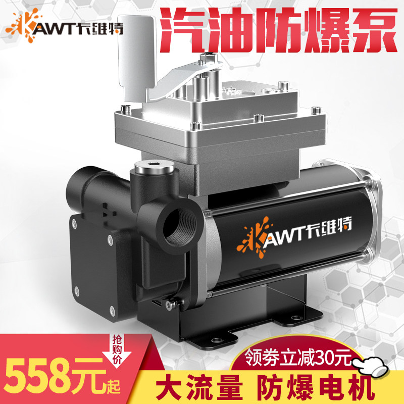 抽油泵12v24v220v防爆大流量柴汽油电动车载加油机设备小型自吸泵