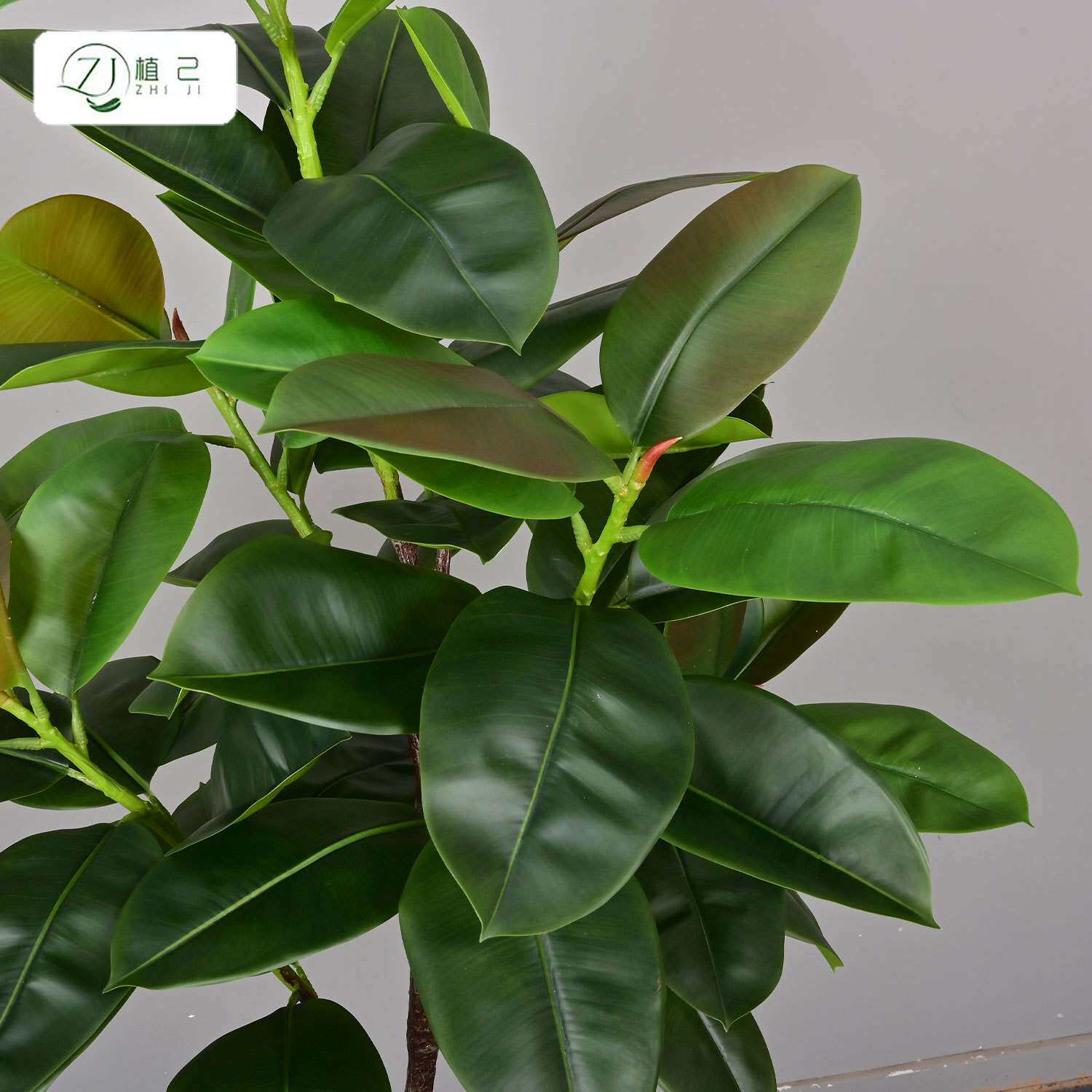 仿真橡皮树室内家居装饰绿植客厅大型落地假树植物摆件盆栽橡皮树