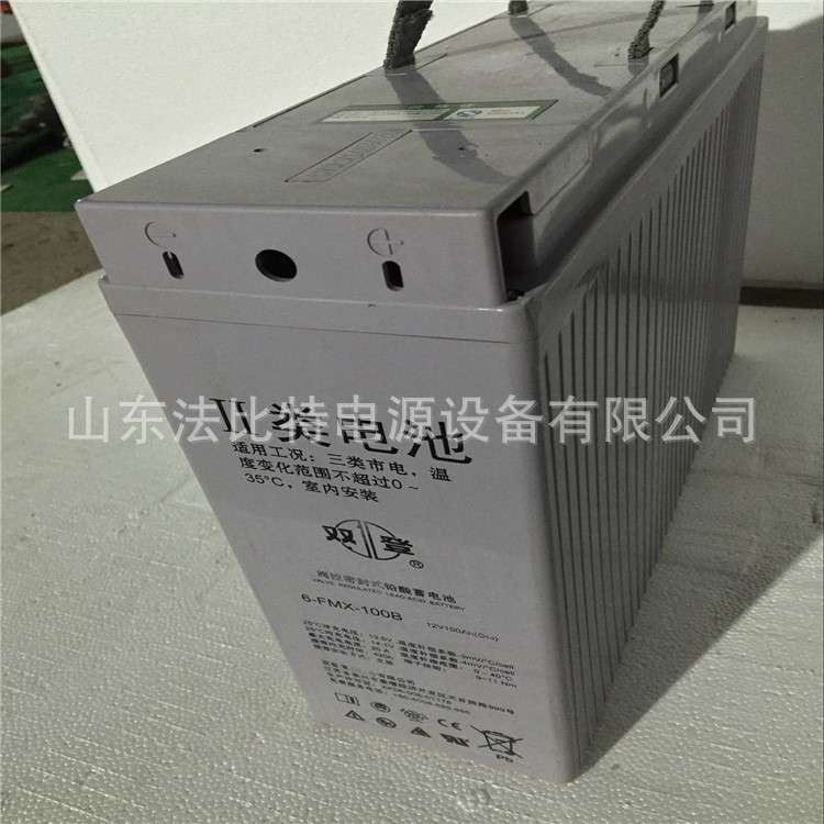 双登狭长型蓄电池6-FMX-100B/12V100Ah通讯基站 直流屏EPS