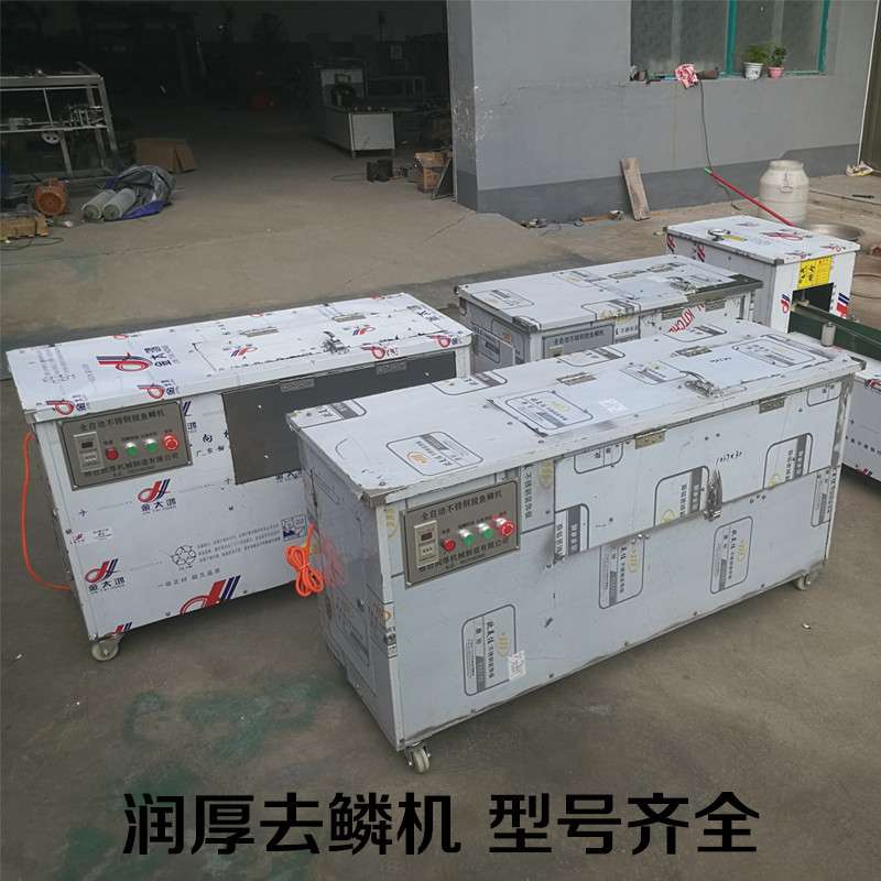大型全自动鱼鳞机商用鱼鳞刨刮除鱼鳞机不锈钢脱鱼鳞机除去鱼鳞机