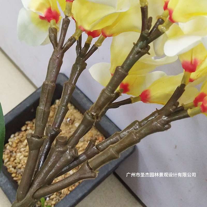 广州仿真鸡蛋花树室内外装饰真木杆仿真手感鸡蛋花假花树厂家直销