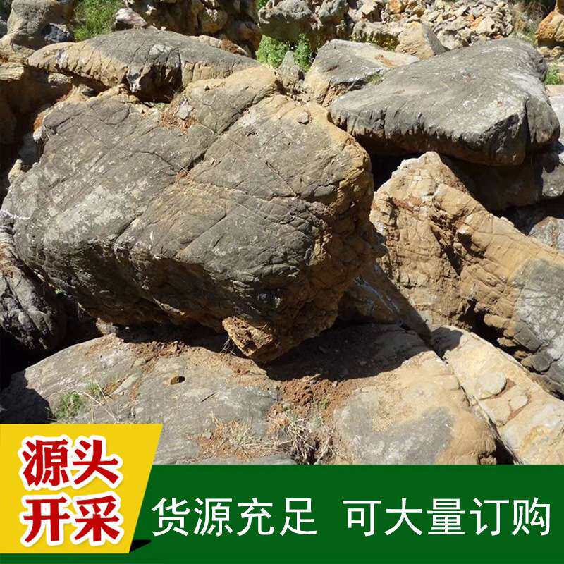 供应各种假山石天然灵璧石刻字石自然景观石龟纹石 天然龟纹石