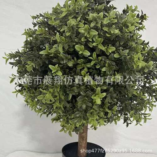 黄杨木杨梅叶圣生白蒂树枝假果枝插花摆件花卉景观仿真绿植摆件