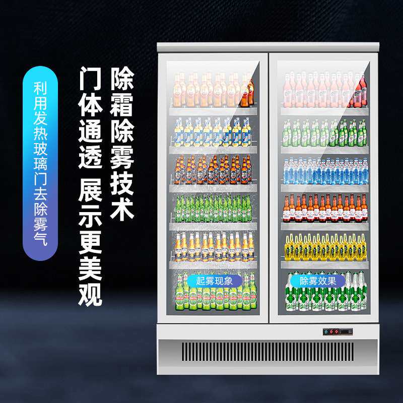 冷冻柜 商用玻璃门立式冰柜保鲜冷藏冷冻设备便利店鲜花 商用冷柜