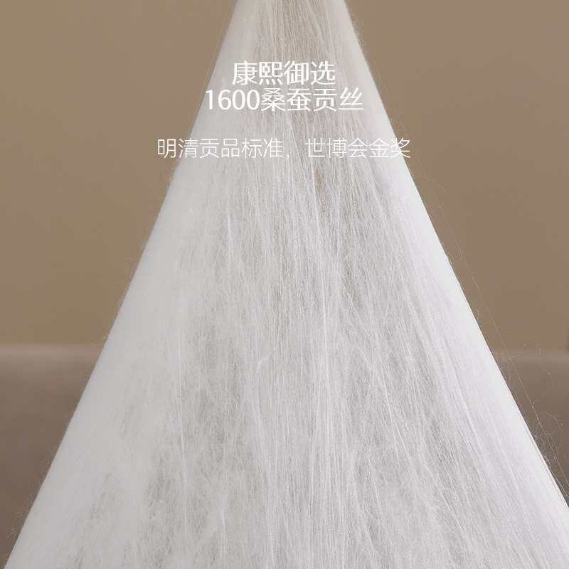 纯手工二合一拉链款蚕丝被100双宫桑蚕丝长丝被子子母被春秋被芯