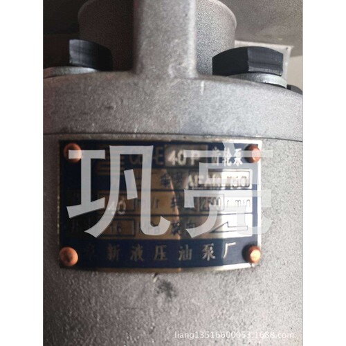 齿轮泵 CBF-E40P