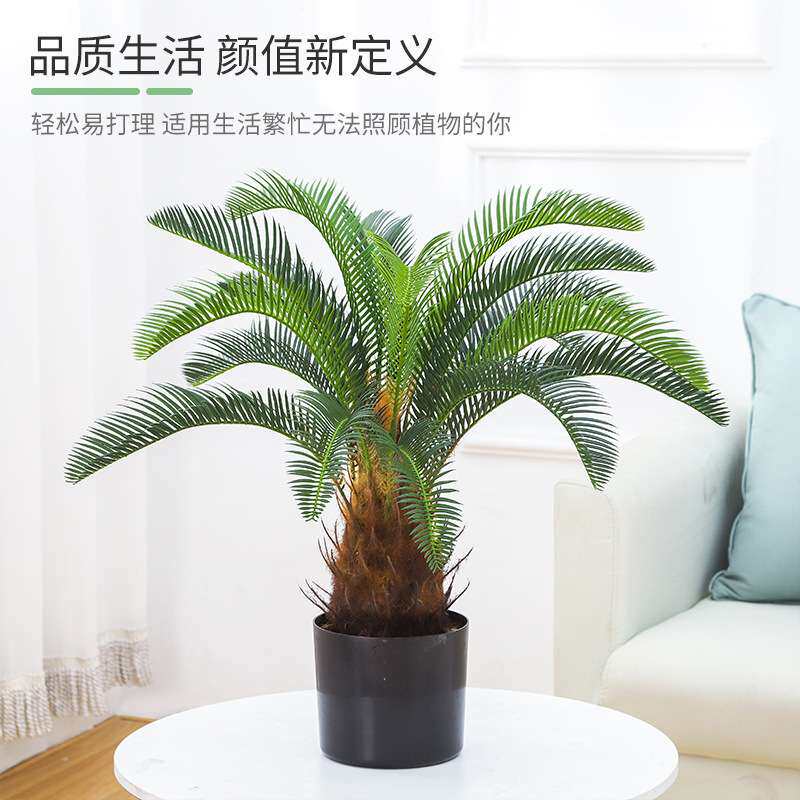 大型仿真盆栽龙舌兰盆景沙漠热带假绿植室内造景装饰落地摆件