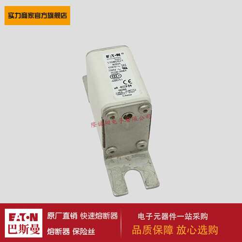 熔断器170M0223 170M0224 170M0225 170M0226 170M0259 170M0260
