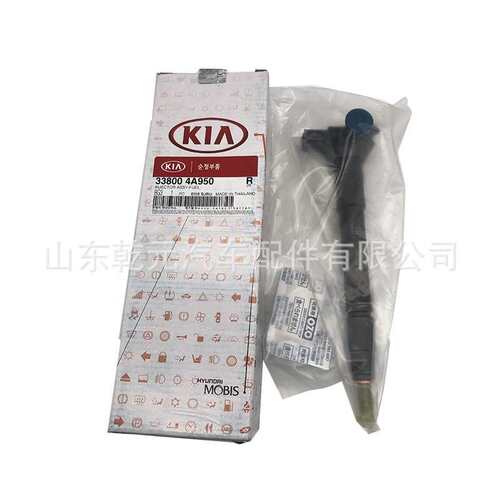 共轨喷油器 33800-4A950 295700-0290 原装喷油器