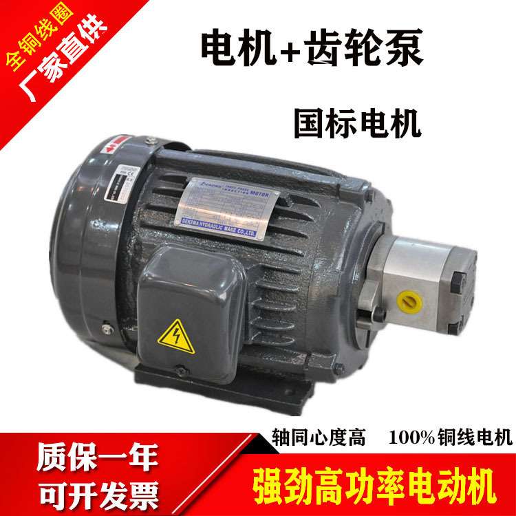 液压电机油泵组合0.75KW/1.5KW/2.2KW配VP20/30/40叶片泵电动总成图片