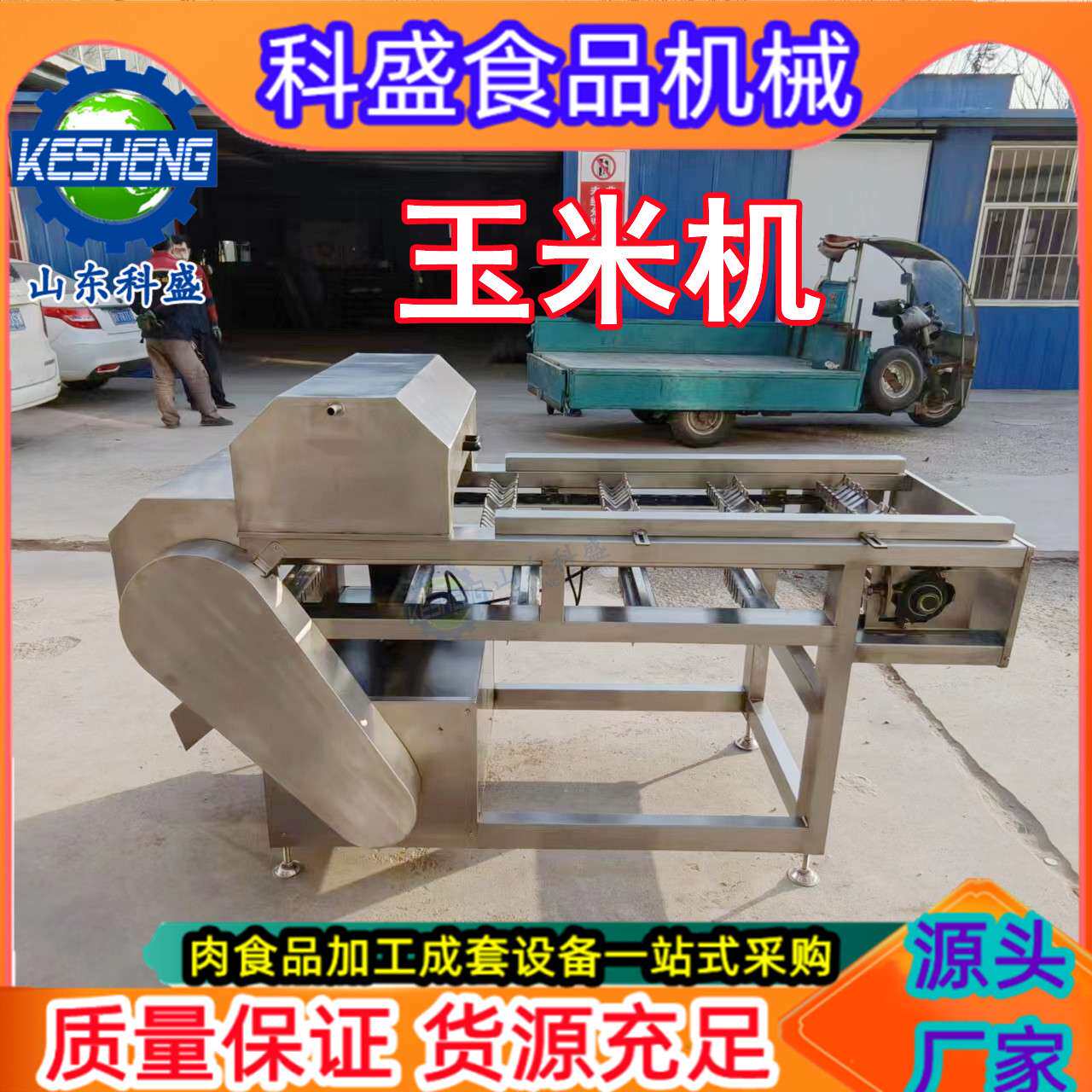 商用冻玉米切段机 连续式玉米切段机 鲜玉米分段设备