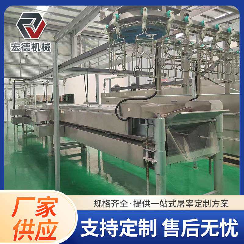 家禽宰杀脱毛设备 活禽屠宰成套设备 大型商用宰鸡浸烫打毛设备