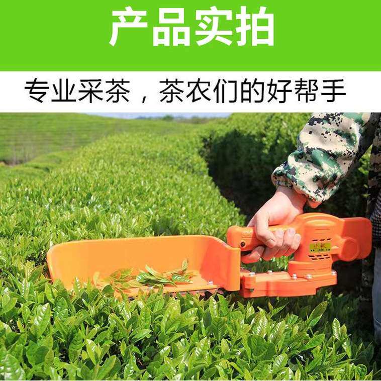 新款充电式电动绿篱机采茶收茶修剪机绿篱机苗木园林茶树锂电篱笆