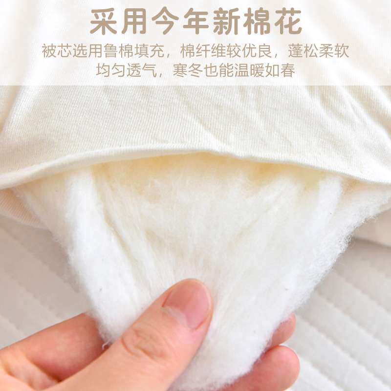婴儿彩棉被子纯棉新生儿童棉被宝宝幼儿园秋冬加厚彩棉棉花小被子