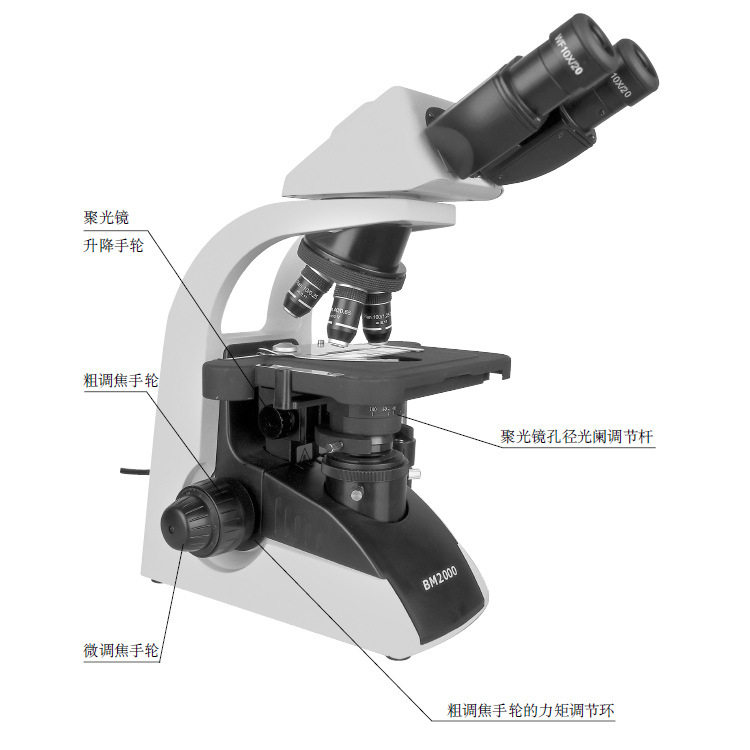 BM2000双目高清数码显微镜