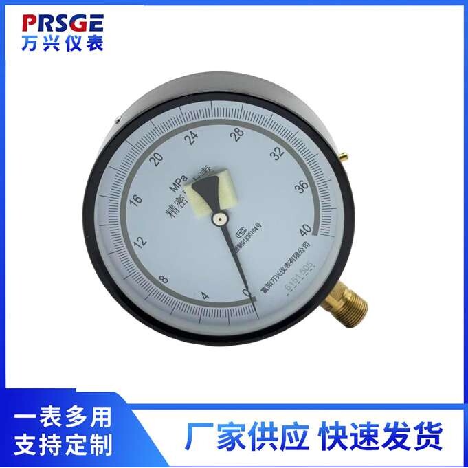 厂家供应新款径向压力表耐震膜盒压力表YNE150膜盒压力表