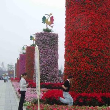 厦门庆典展览花柱拱门租售