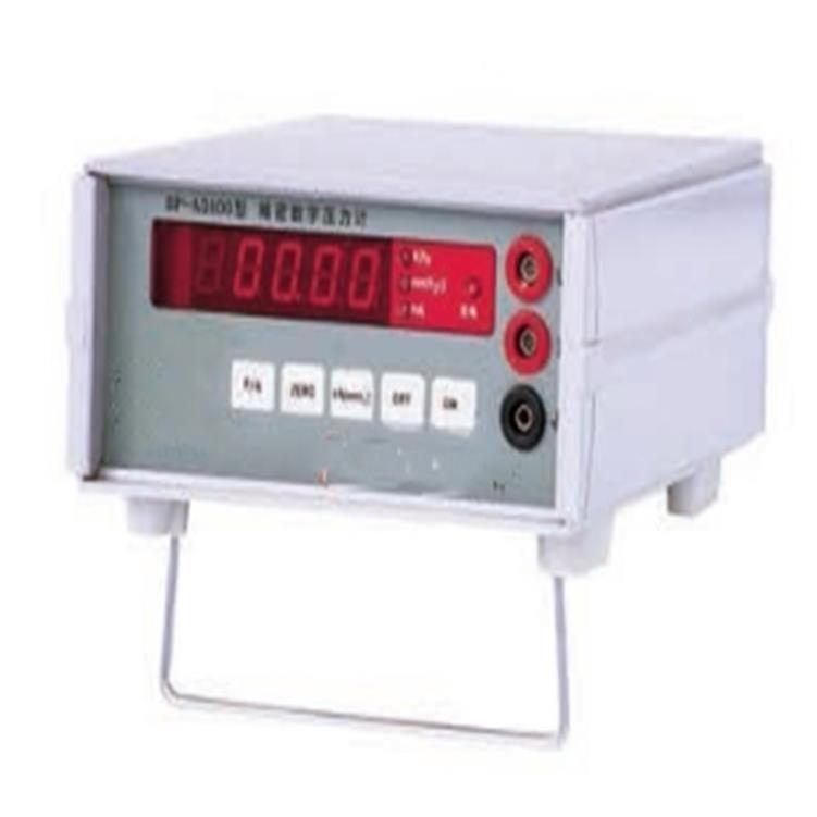 数字压力计型号NS222-DP-AD100