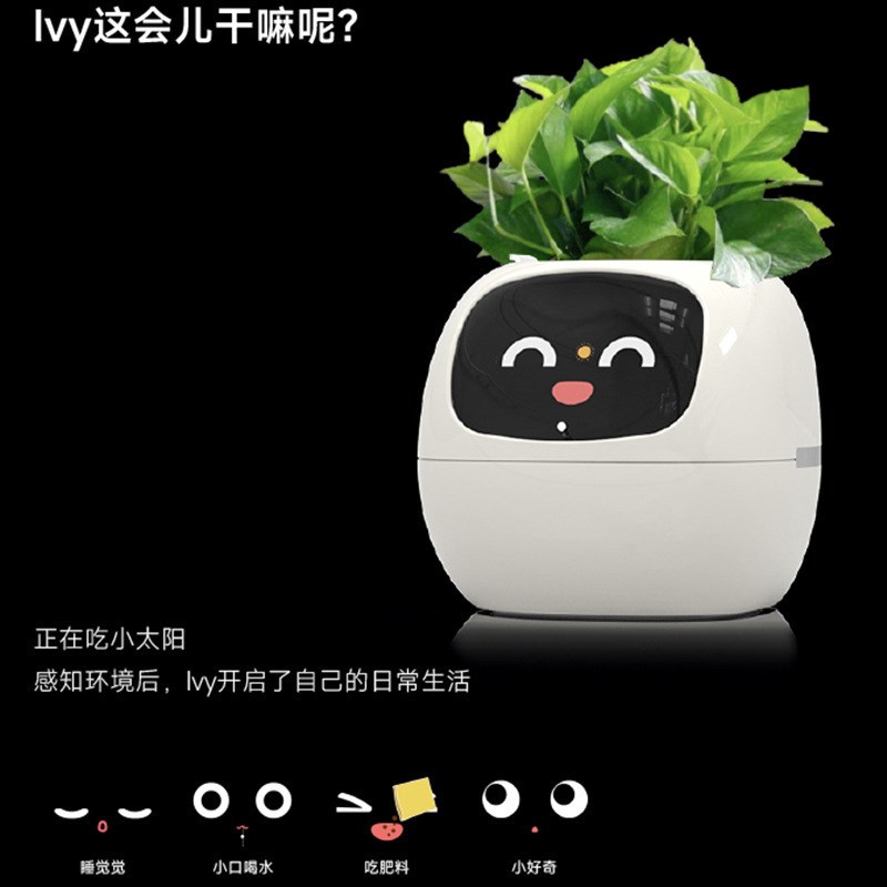 智能懒人自动吸水花盆塑料u树脂圆形USB充电式室内植物小花盆