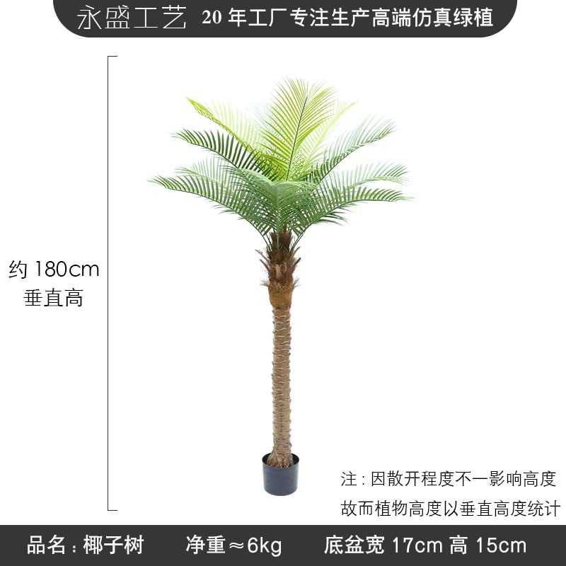 仿真椰子树假植物造景摆件室内大型绿植J棕榈树盆景装饰针葵盆栽