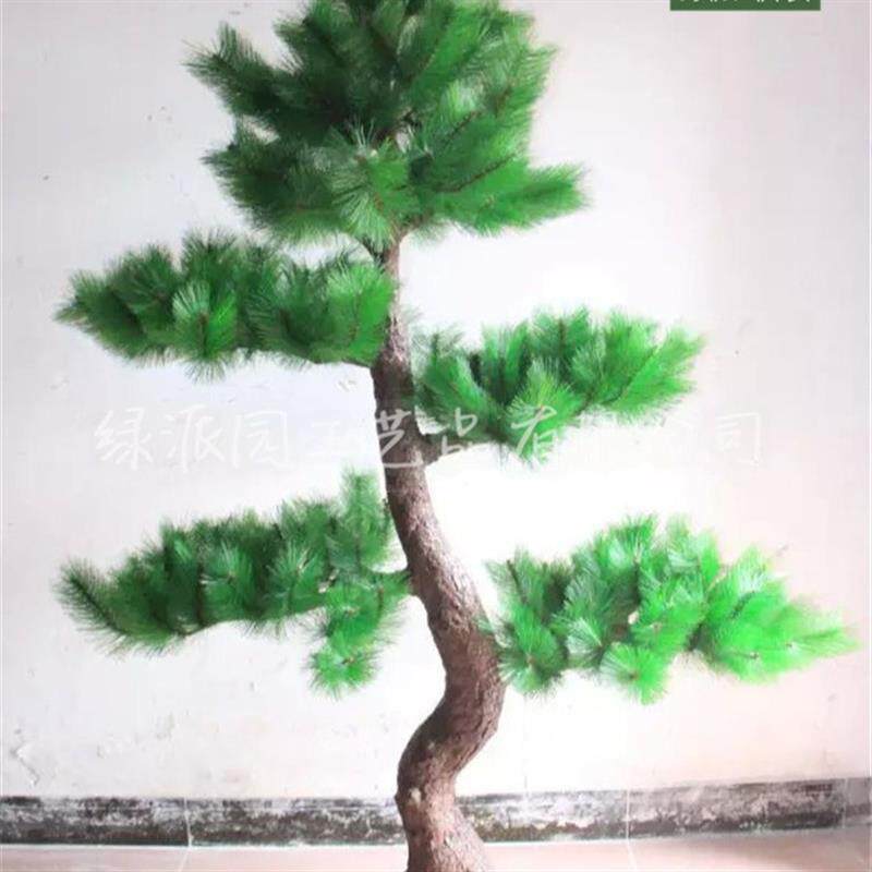 家居客厅花园观赏人造罗汉松树 展览馆布景装饰大型仿真植物松树