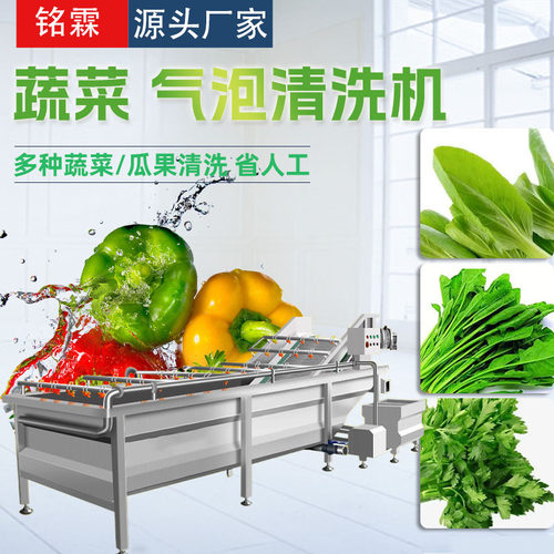 菠菜果蔬清洗机不锈钢香菜清洗机设备果蔬清洗流水线厂家供应